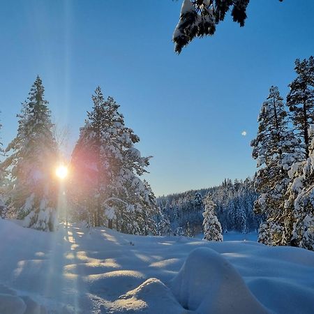 Ro I Sjelen. Hytte Til Leie Pa Skrim. 콩스베르그 외부 사진
