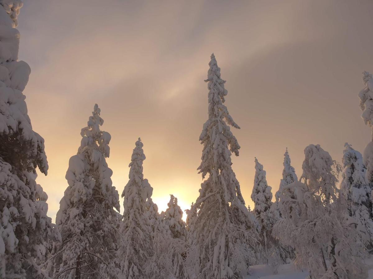 Ro I Sjelen. Hytte Til Leie Pa Skrim. 콩스베르그 외부 사진