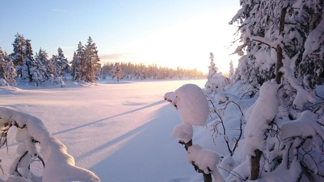 Ro I Sjelen. Hytte Til Leie Pa Skrim. 콩스베르그 외부 사진
