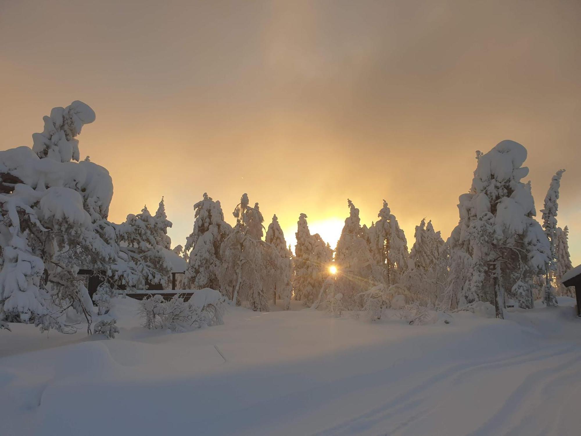 Ro I Sjelen. Hytte Til Leie Pa Skrim. 콩스베르그 외부 사진